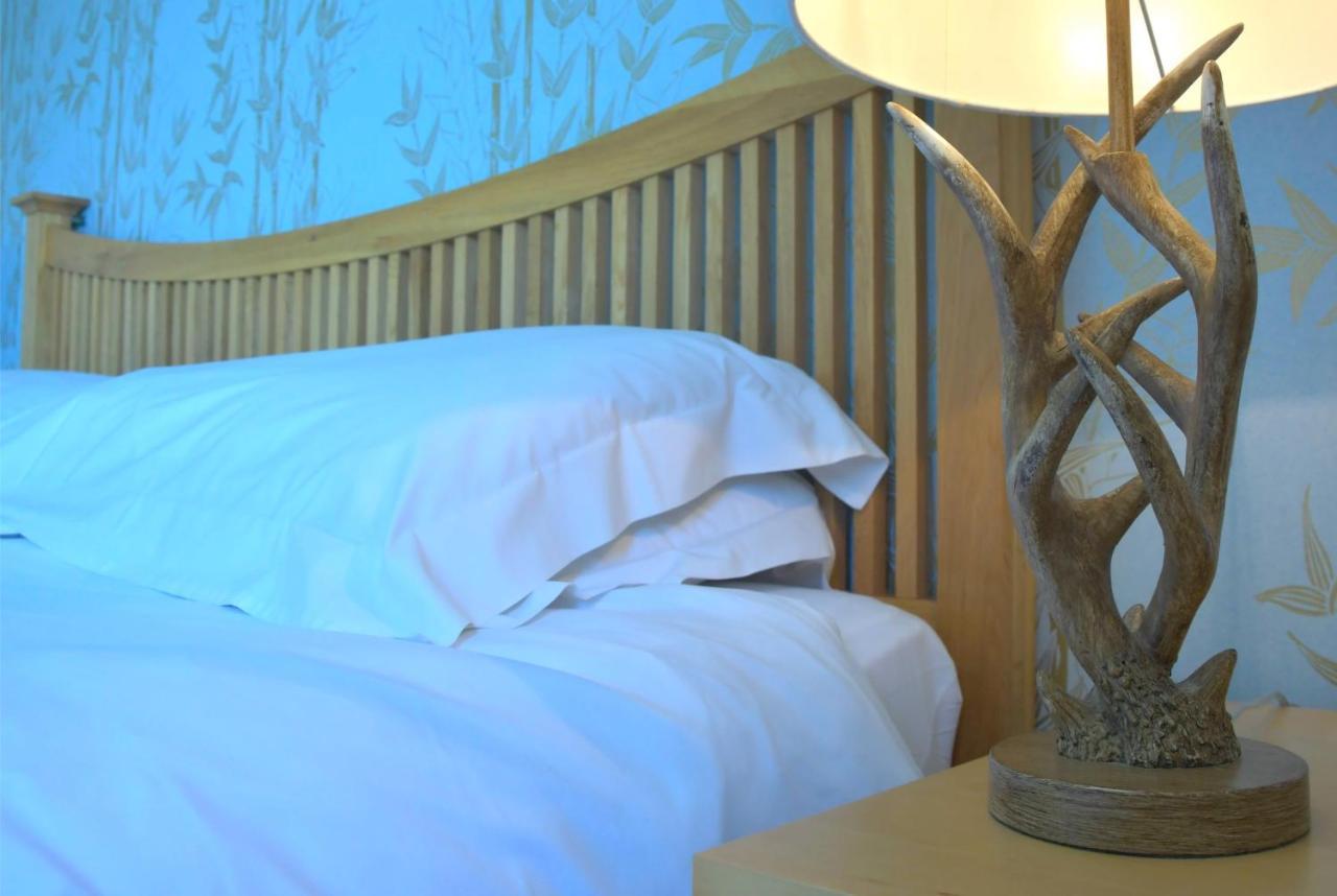 No12 Bed And Breakfast, St Andrews Buitenkant foto