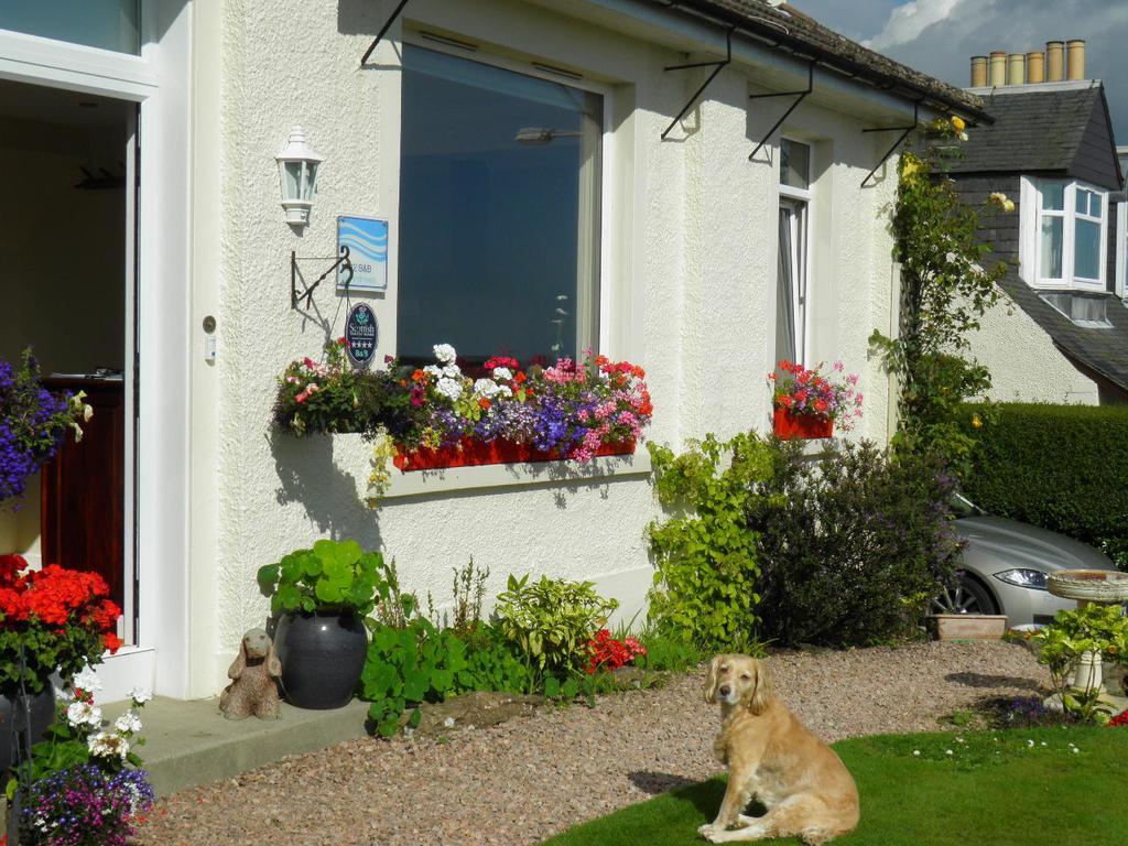 No12 Bed And Breakfast, St Andrews Buitenkant foto